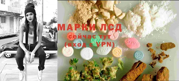 сатива Баксан