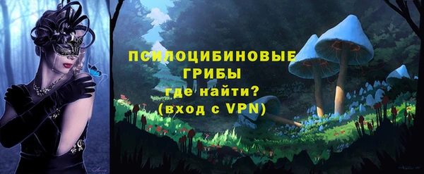 сатива Баксан