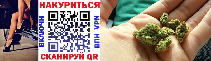 Бошки марихуана семена  Лахденпохья 